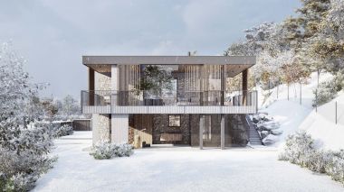 HOUSE  UNDER THE FOREST  / residential / in progress